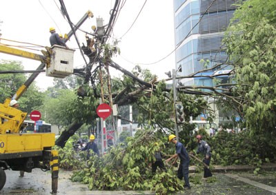 Flash rain resulted in uprooting an ancient tree at the corner of Nguyen Thi Minh Khai and Pasteur Street in District 1 in HCMC on May 15 (Photo: SGGP)